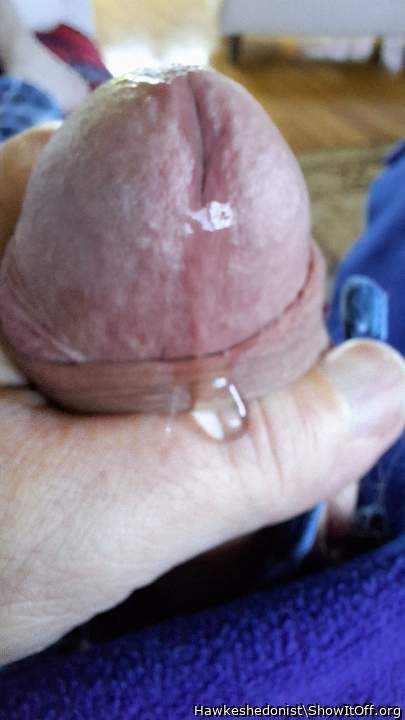 Adult image from Hawkeshedonist