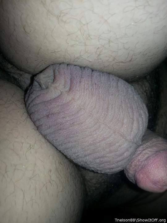 Adult image from Tnelson88