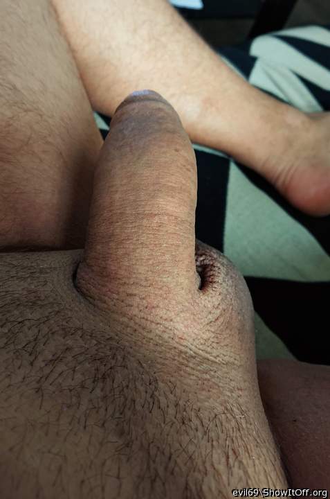 Adult image from evil69