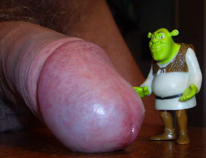 Bei dem gro�en Teil wird Shrek 1 Schreck bekommen  