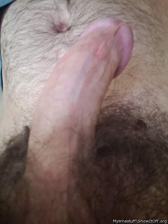 Adult image from Mylimastuff