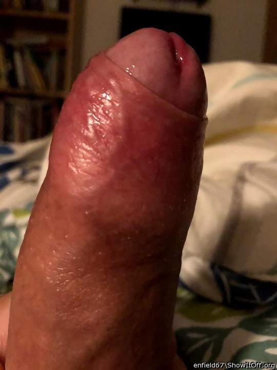 Adult image from enfield67