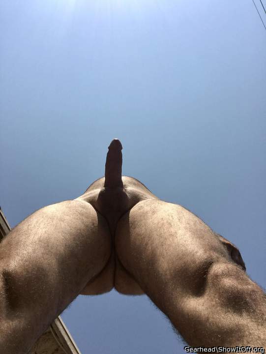 Adult image from Gearhead