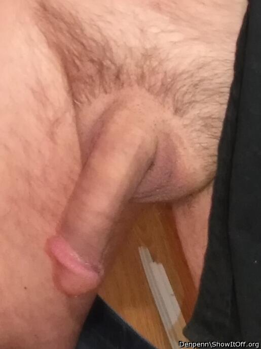 Adult image from Denpenn