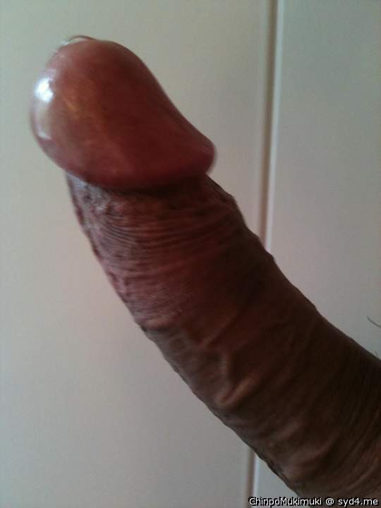 Adult image from ChinpoMukimuki