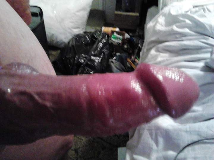 Adult image from fish4free