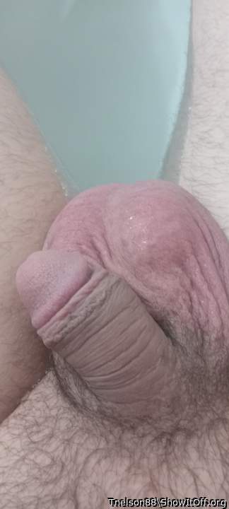 Adult image from Tnelson88