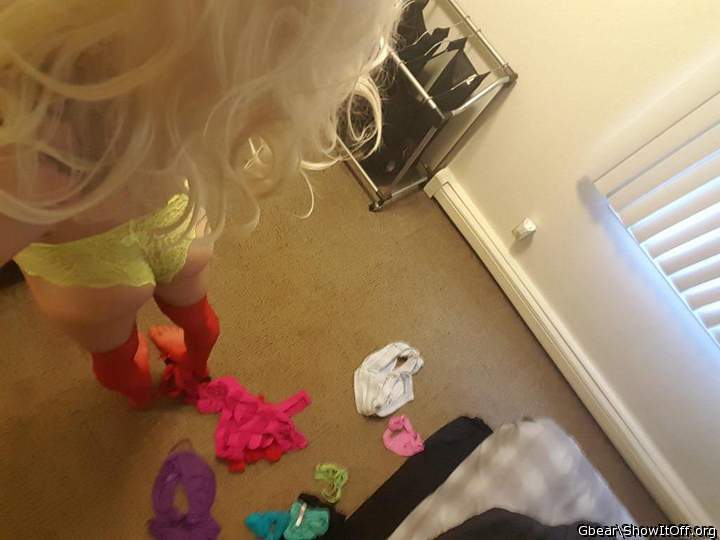 Adult image from Gbear