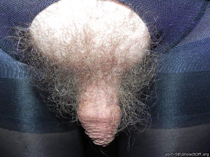 Adult image from dom-58