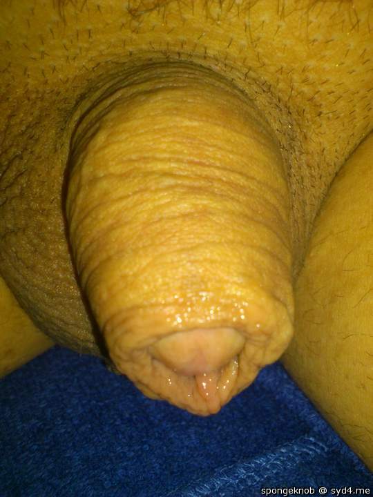 Adult image from spongeknob