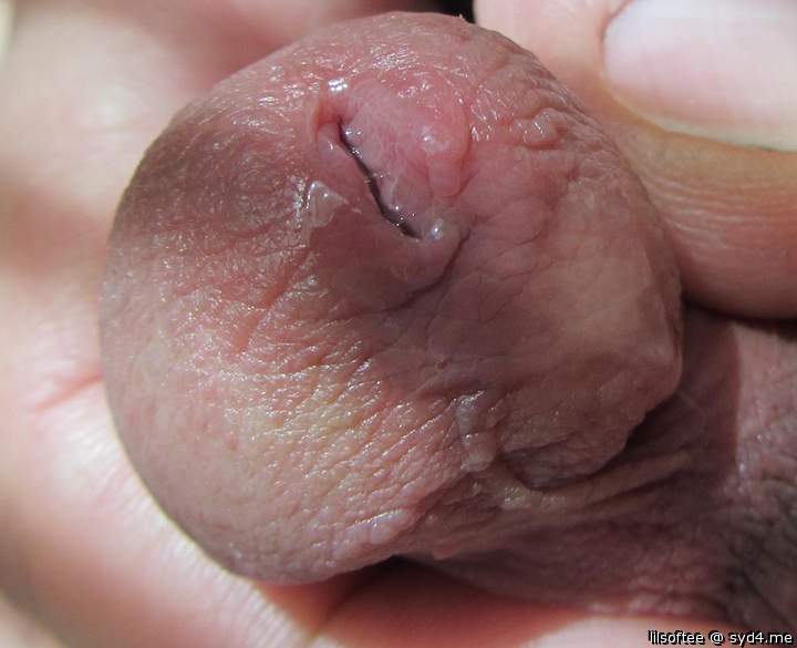 Adult image from lilsoftee
