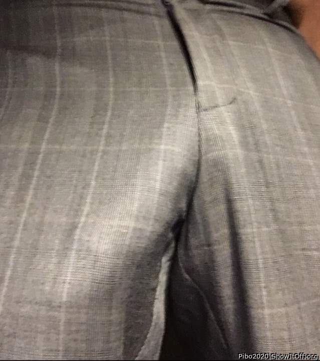 Adult image from Pibo2020