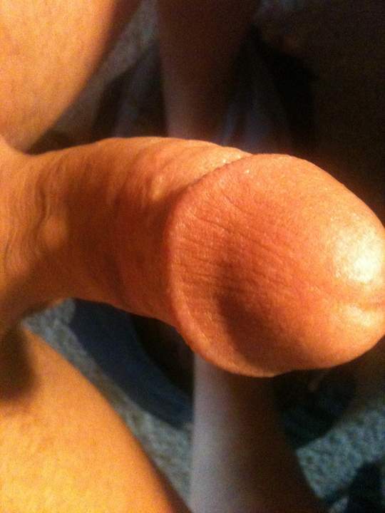 Adult image from messini