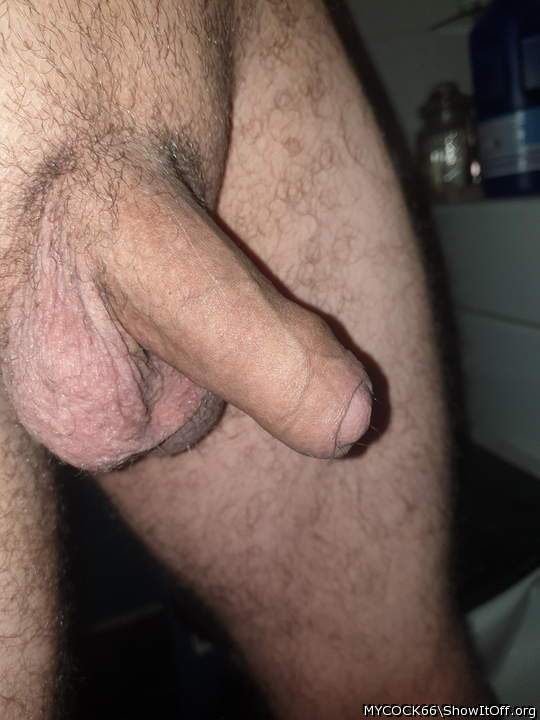 Adult image from MYCOCK66