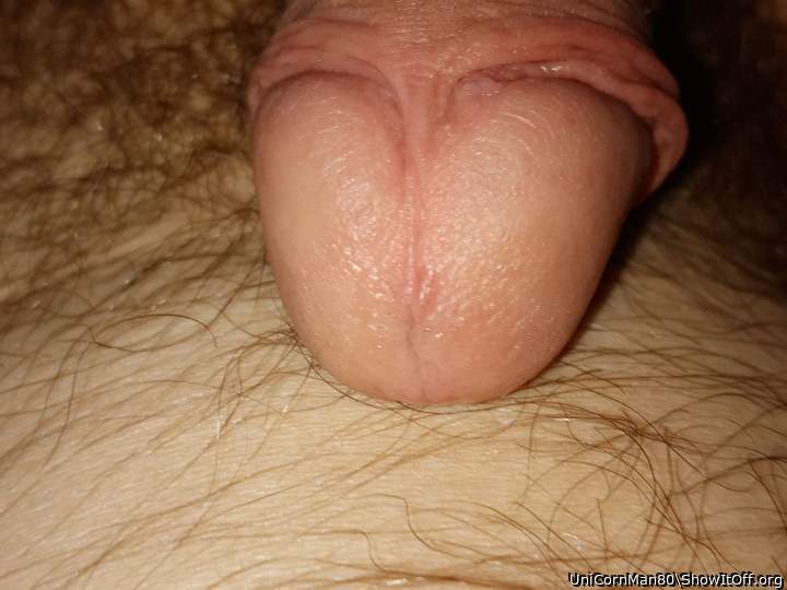 Pleasure dome..