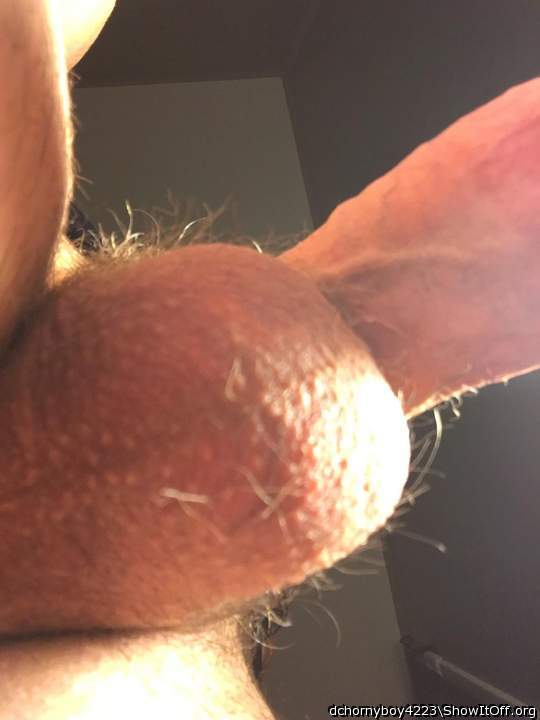 Adult image from dchornyboy4223