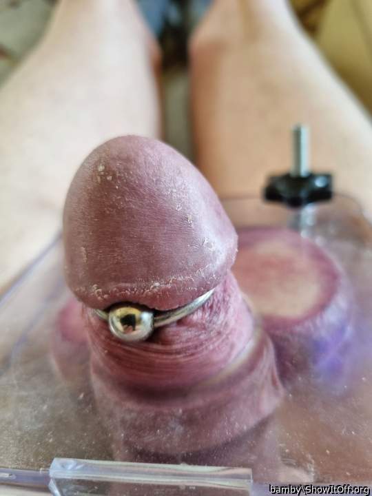 Adult image from bamby