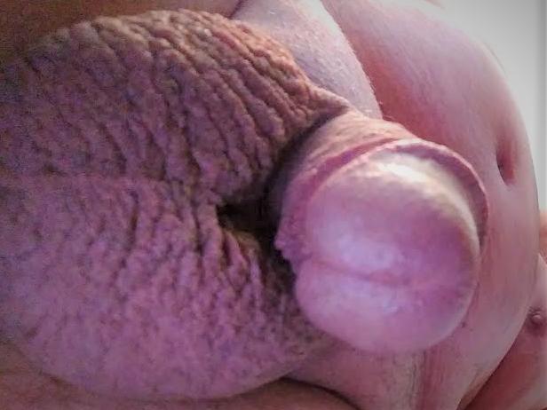 Adult image from M*C*S