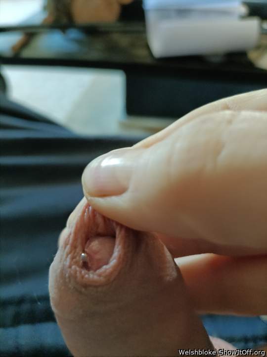 Adult image from Welshbloke