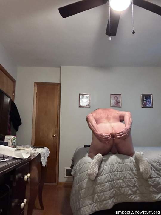 Adult image from jimbobi