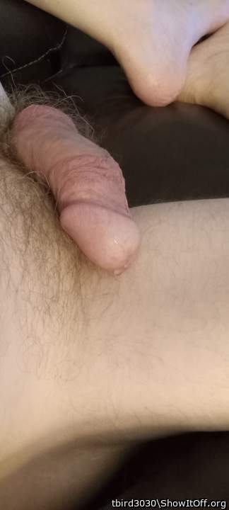 Adult image from tbird3030