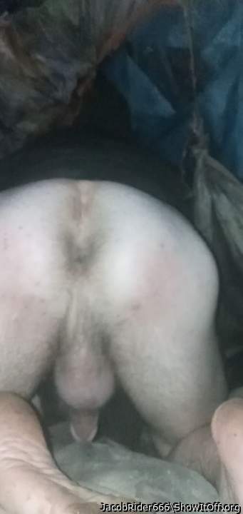 Adult image from JacobRider666