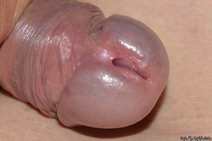 Adult image from ryo