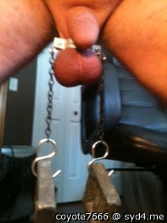 Adult image from coyote7666