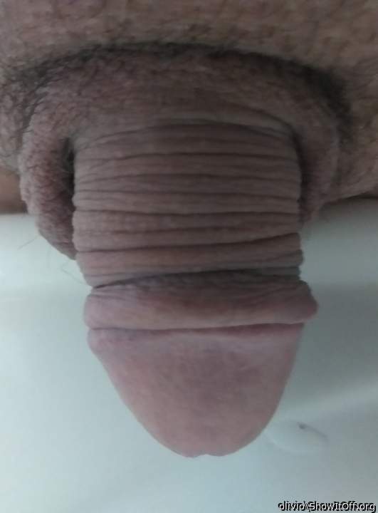 Adult image from olivio