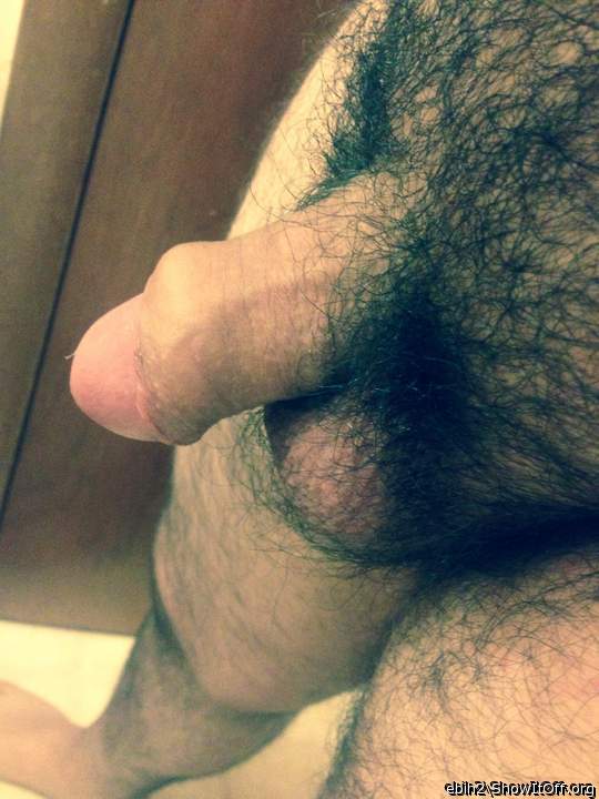 Adult image from Ebih2