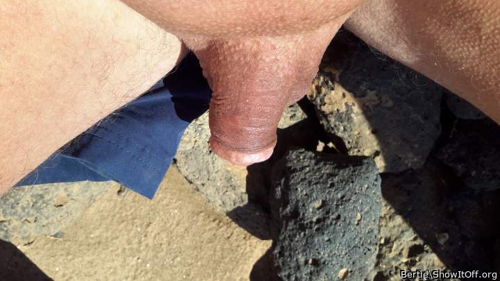 Adult image from Bertie