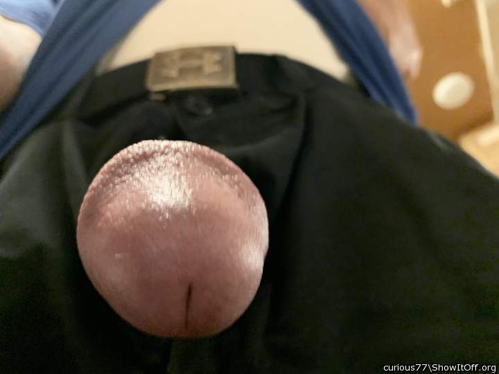 Adult image from Curious77