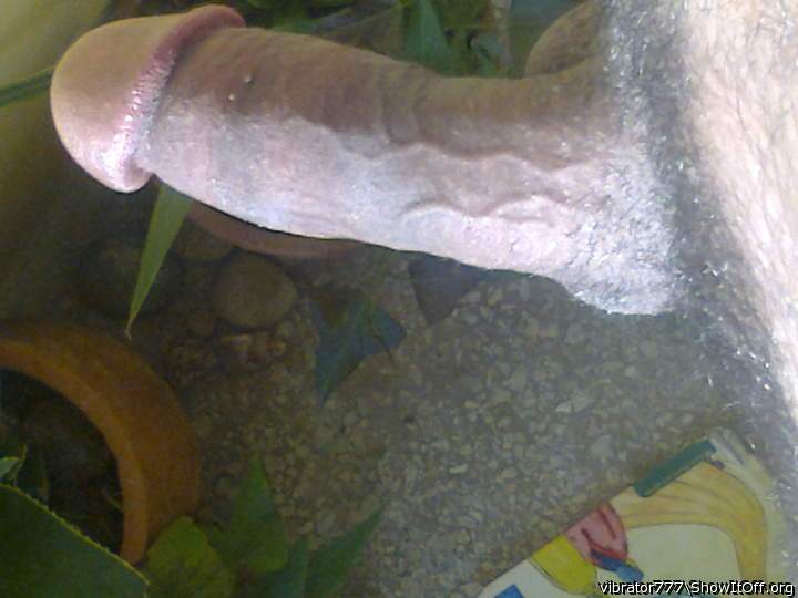 Adult image from vibrator777