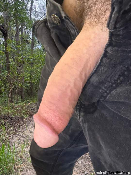 Adult image from mtingi