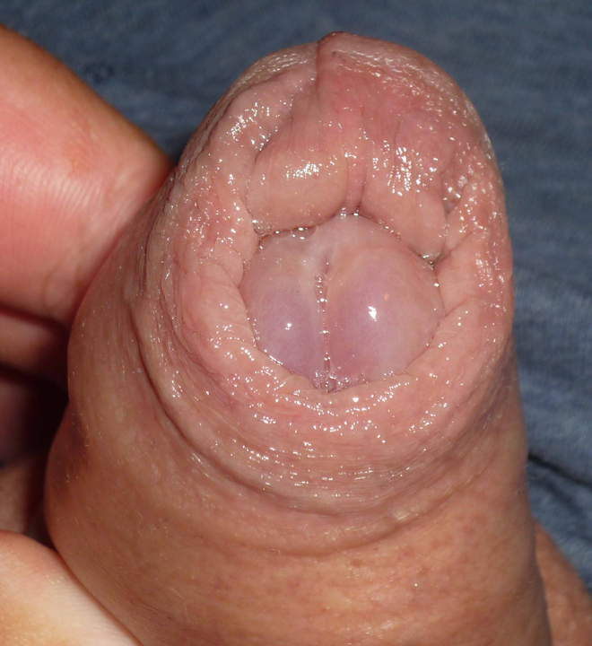 Adult image from nylonlover