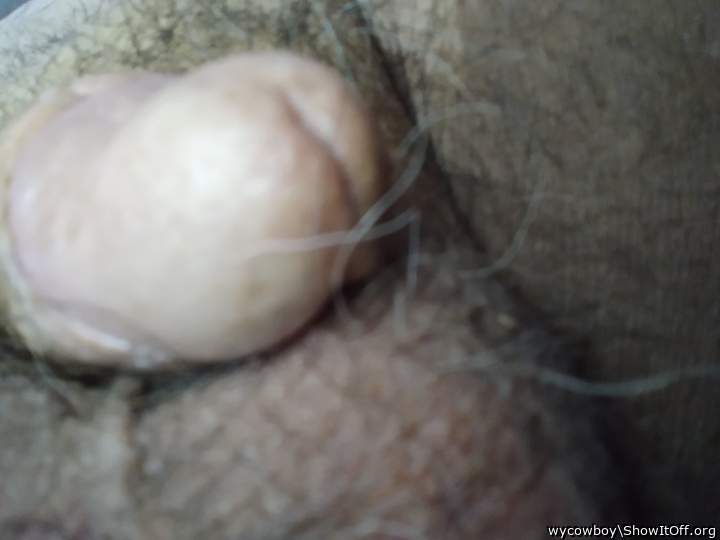 Adult image from wycowboy