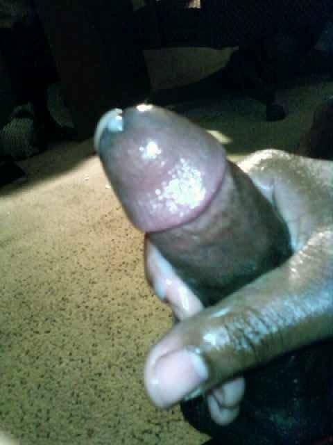 Adult image from Assman80