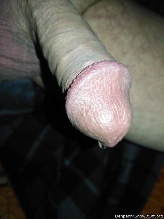 Adult image from Denpenn
