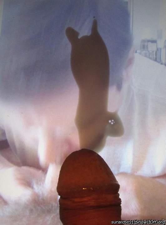 Adult image from arctic11