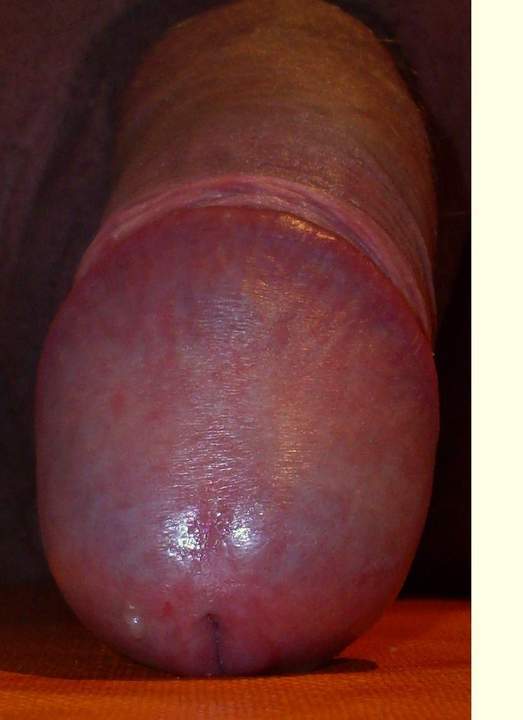 Adult image from w123