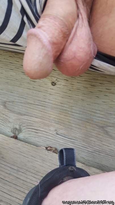 Adult image from megaman10