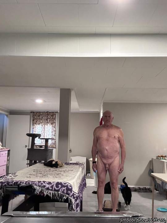 Adult image from jimbobi