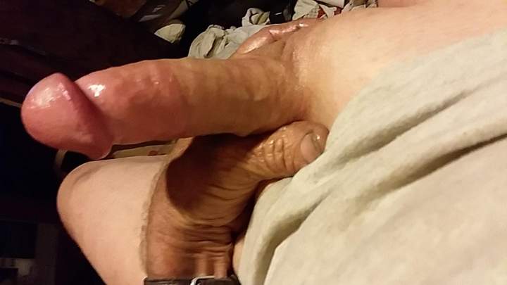 Adult image from fish4free