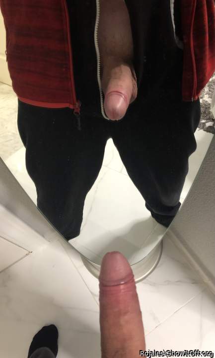 Adult image from Rojales