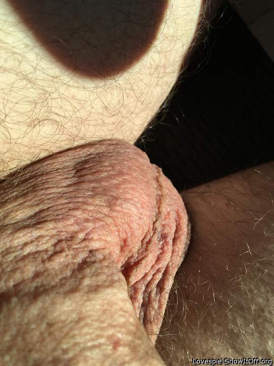 Adult image from Lovespie