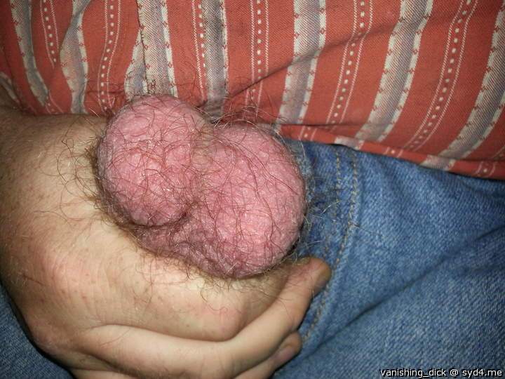 Adult image from vanishing_Dick