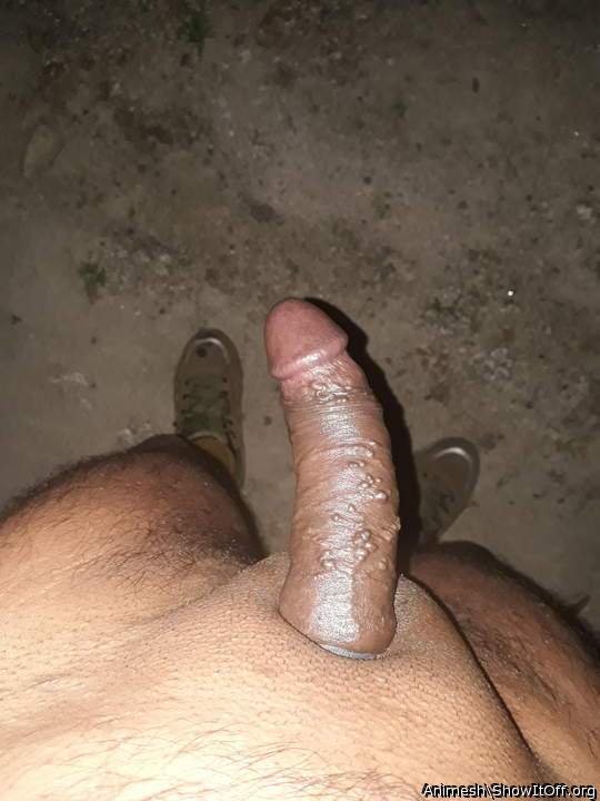 Adult image from Animesh
