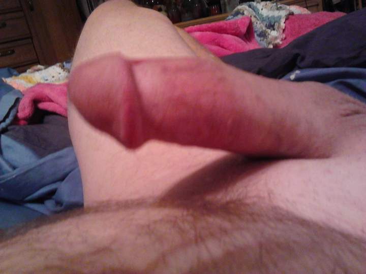 Adult image from fish4free