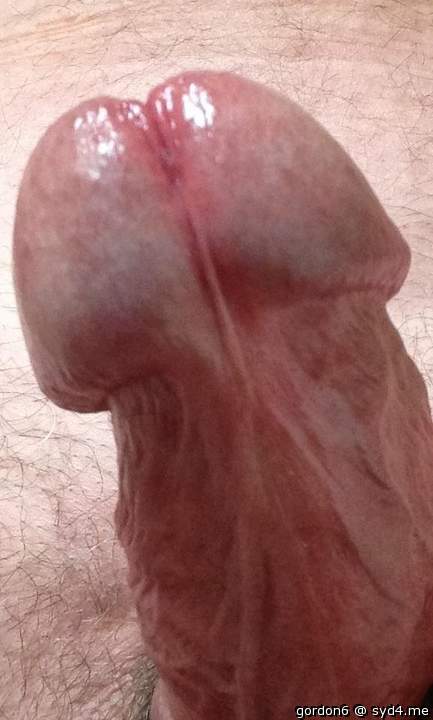 Adult image from gordon6