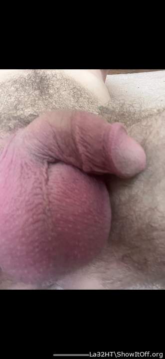 Adult image from La32HT